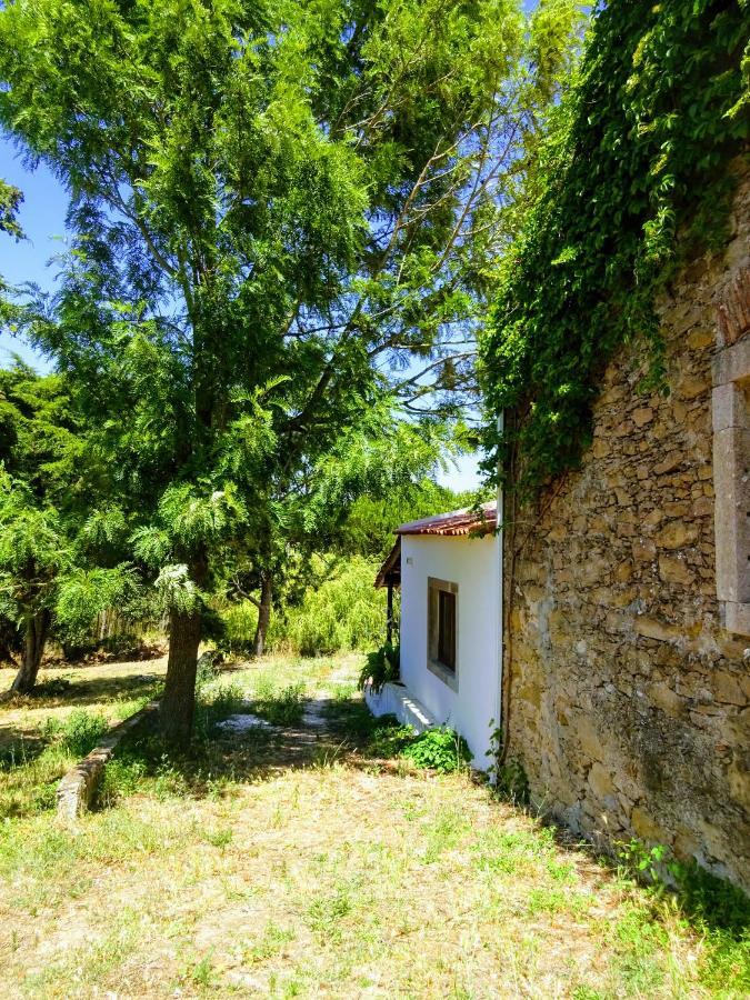 Quinta Da Galeana Dreaming Bed & Breakfast Lourinha  Ngoại thất bức ảnh
